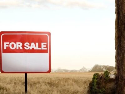 site sale