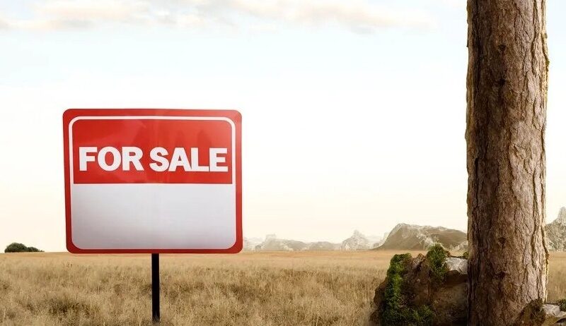 site sale