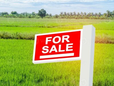 site sale